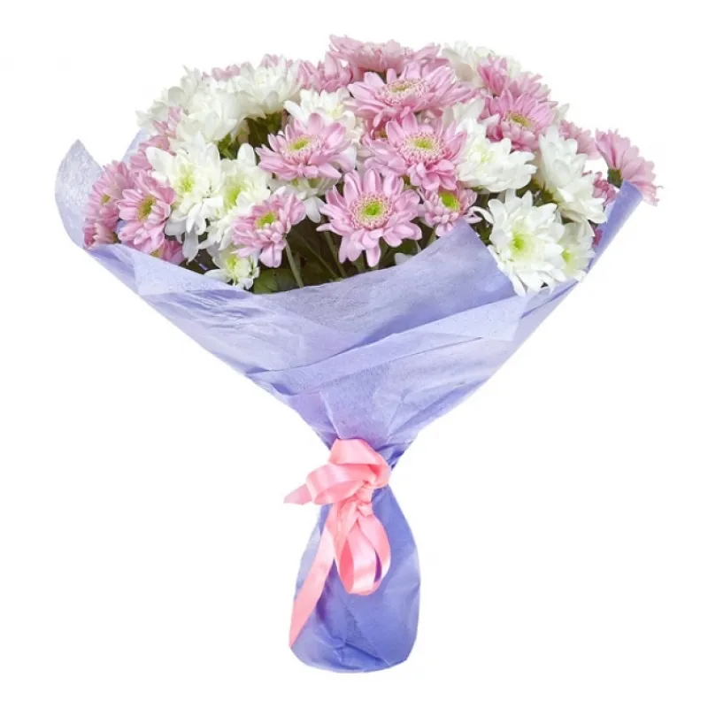 Букет из белых и розовых хризантем, доставка Мещовск